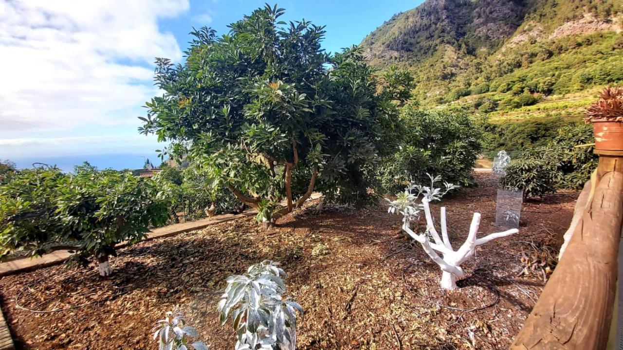 Casa Rural La Resbala - Casa Tajinaste La Orotava Zewnętrze zdjęcie